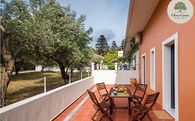 Olive Grove House